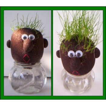 Grow Grass Head, Grow A Head-Excellent Gift,100% imported-On 50% Off Rate